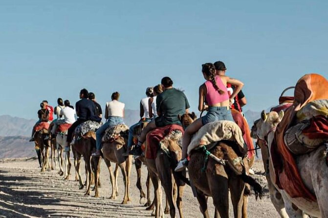 Atlas Mountains, Berber Villages and Three Valleys all inclusive - Berber Villages and Everyday Mountain Culture
