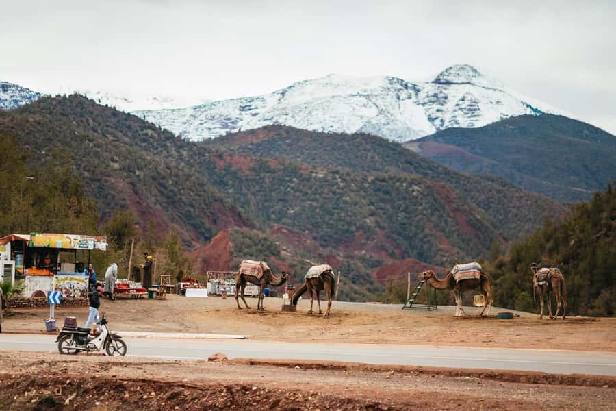 Atlas mountains, Ourika valley, berber villages trip & Guide - Leaving Marrakech for the Ourika Valley