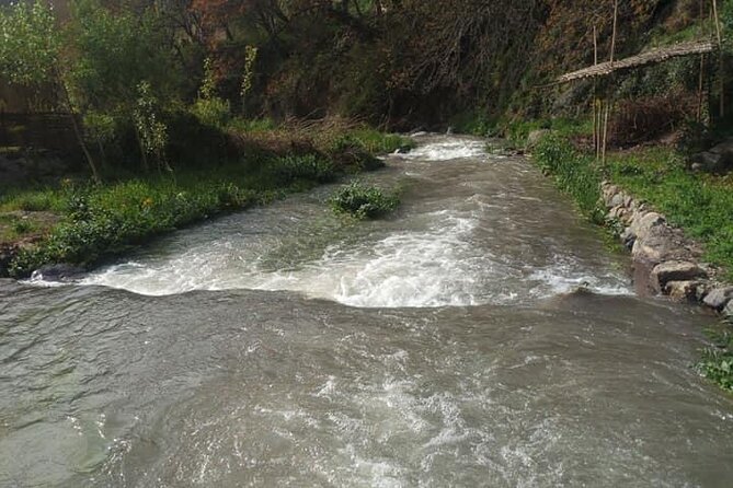 Atlas Mountains ourika valley Guided Tour - Who will enjoy this Ourika Valley trip