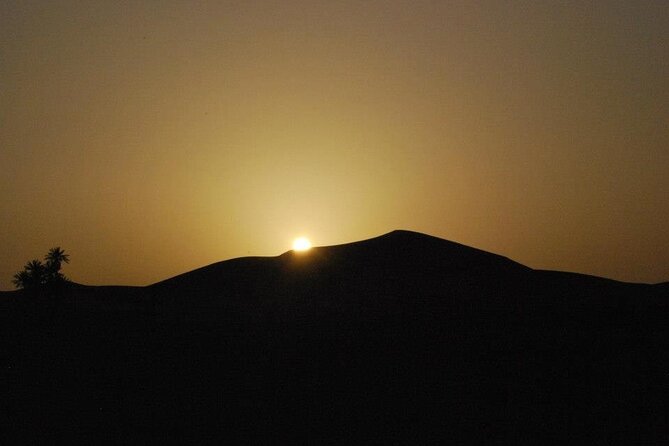 Basic Desert 3 Days 2 Nights from to Marrakesh - Day 2: Todra Gorges, kasbah country, and Erg Chebbi