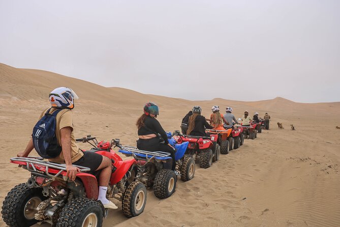Beach Quad Biking and Sandboarding Adventure from Agadir - Takate: two hours across sandy terrain