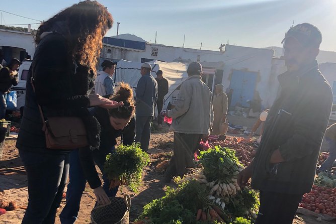 Berber Cooking Class at a Farm in the Countryside & shopping at a rural Souk. - Goats in the Argan Trees