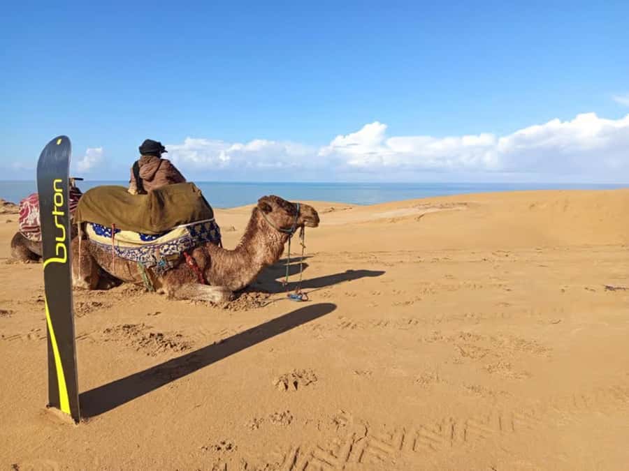 Best Agadir Desert Adventure: Quad Camel Sandboarding & BBQ - Camel riding and the Moroccan dinner option