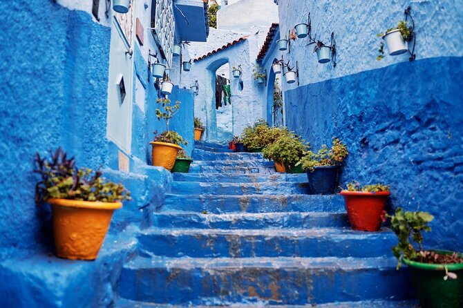 Best Chefchaouen Day Tour from Fez - Key points to know before booking