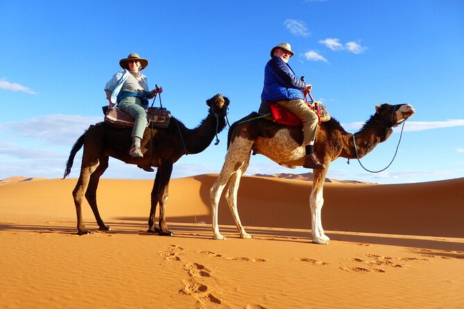 Best Fes to Merzouga Desert Tour 2 Days - Azrou’s cedar forest adds wildlife to the route