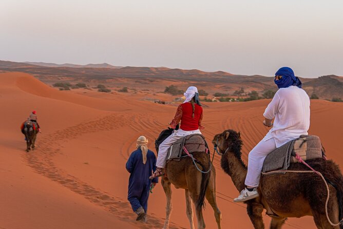 BEST Marrakech to Fes desert tour 3 days - Who this Marrakech to Fes trip suits best