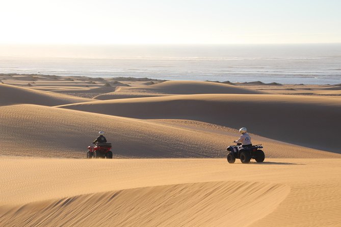 Big Cap Sim dunes and forest 3 hours tour. - Getting ready for the 125cc Yamaha Grizzly