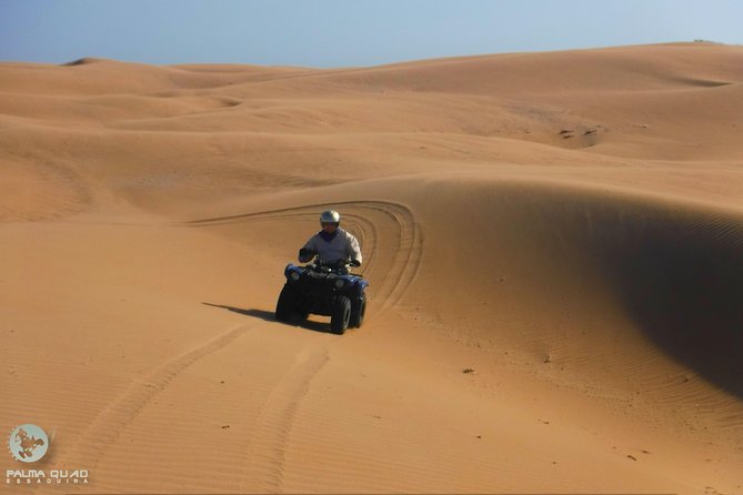 Big Cap Sim dunes and forest 3 hours tour. - Tackling the Cape Sim dunes