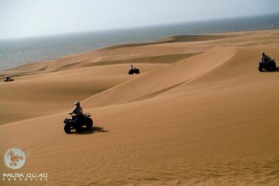Big dunes and atlantic coast tour 2 HOURS
