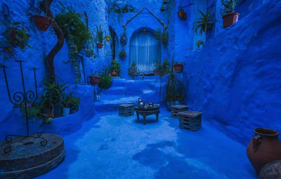 Blue City magic: Affordable Day Trip from Fez to Chefchaouen - Who will enjoy this day trip most