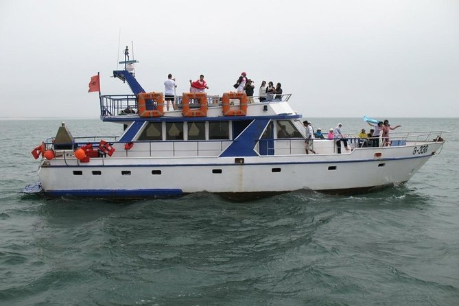 Boat Tours in Agadir lunch including ( sea food ) - Key points to know before booking