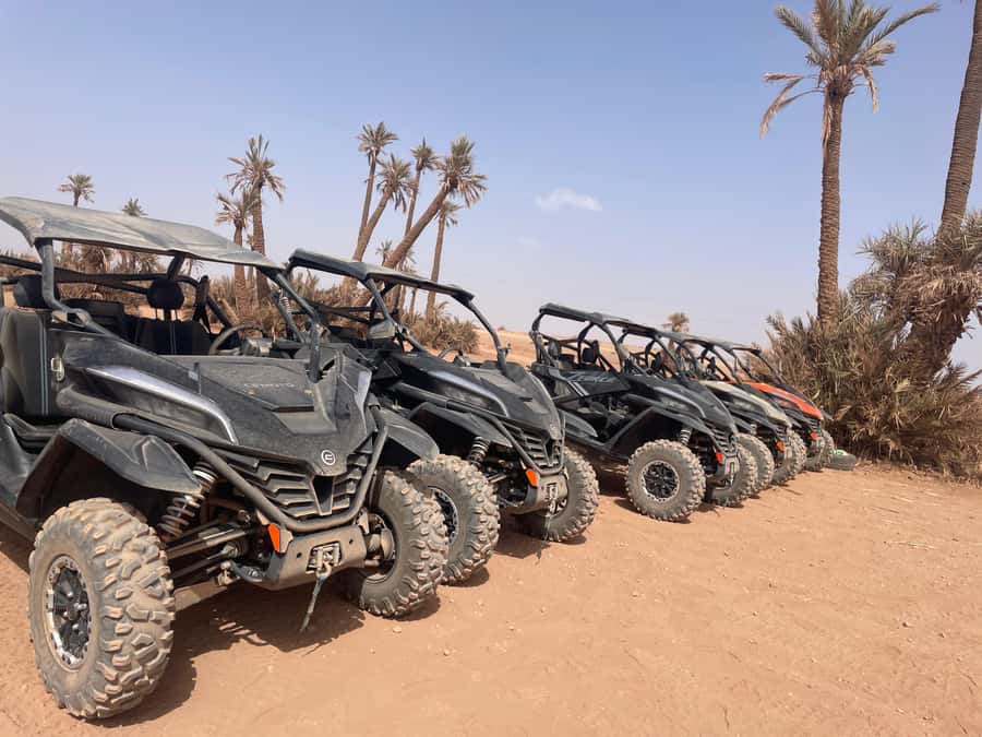 Buggy 1000 cc Adventure in Marrakech Desert - What the mixed feedback means for you