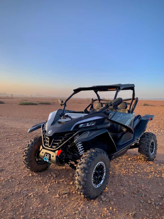 Buggy Marrakech Desert and Palmerie - Key points at a glance