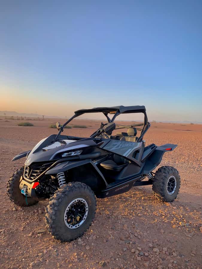 Buggy Marrakech Desert and Palmerie - Gravel, sand, bumps, and open desert tracks