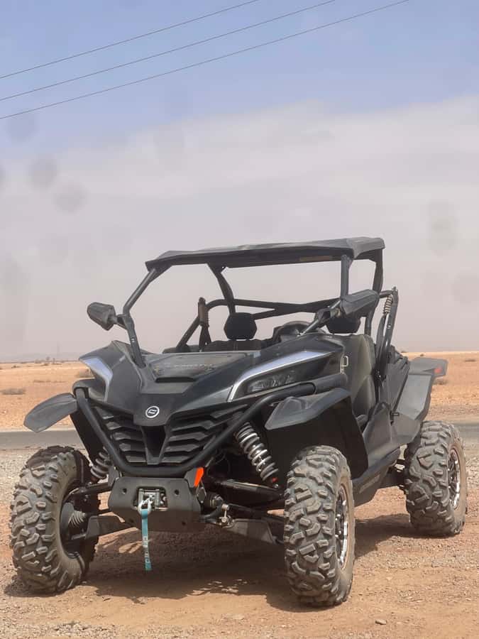 Buggy Marrakech Desert and Palmerie - The Palmerie photo stops