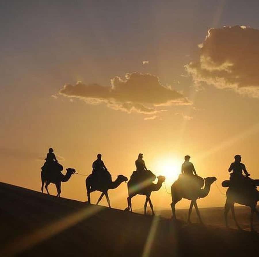 Buggy ride with camels and dinner show in agafay desert - Leaving Marrakech for Agafay’s rocky desert