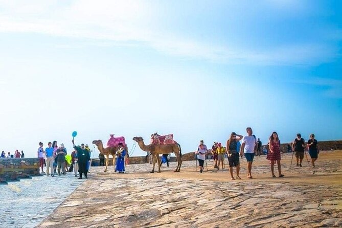 Cable Car Experience and Agadir City Tour. - Souk El Had, Agadir’s everyday market