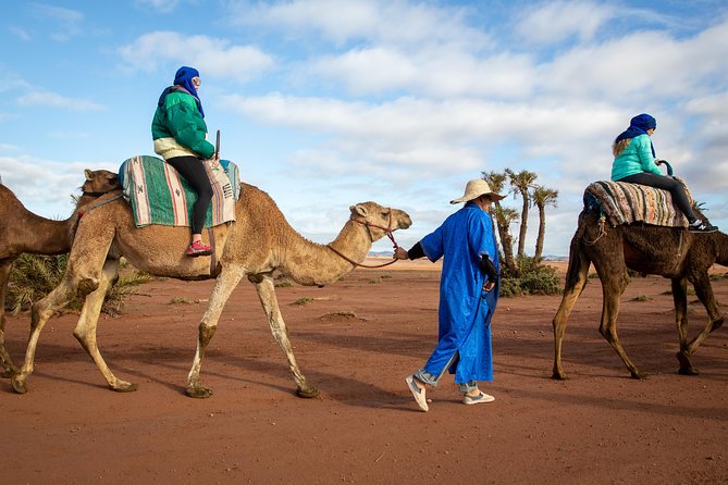 Camel and Quad Biking Tour from Marrakech - Quick Take: What Makes This Tour Worth Considering