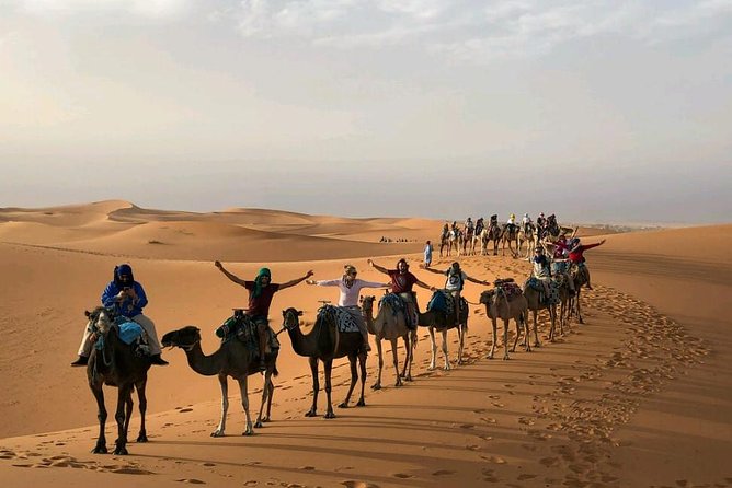 ✅ Camel Ride and Overnight in Sahara Desert Camp - Key points before you book