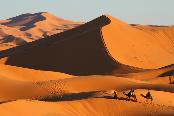 ✅ Camel Ride and Overnight in Sahara Desert Camp - Sunrise and breakfast before returning