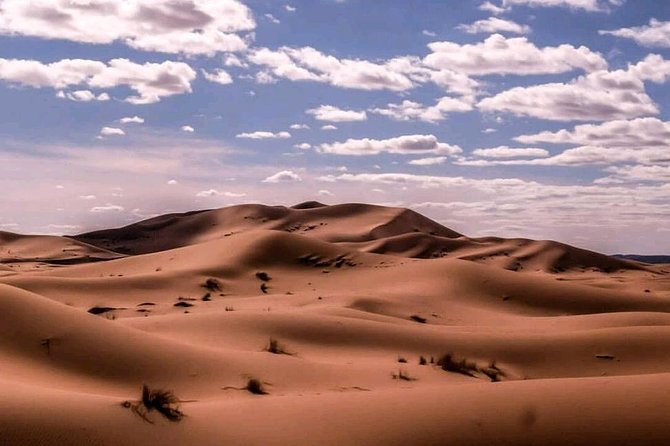 ✅ Camel Ride and Overnight in Sahara Desert Camp - What the $87.24 price really covers
