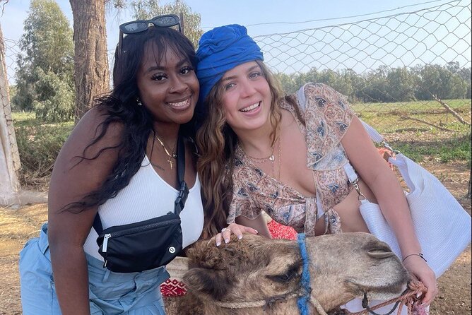 Camel ride in agadir at sunset with barbecue and couscous - Key points before you book