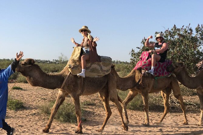 Camel ride in agadir at sunset with barbecue and couscous - Hotel pickup and the ride to the dunes