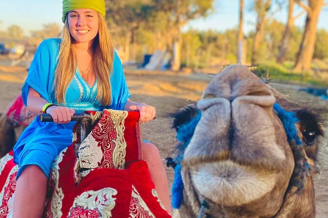 Camel ride in agadir at sunset with barbecue and couscous - Barbecue, couscous, and the evening meal