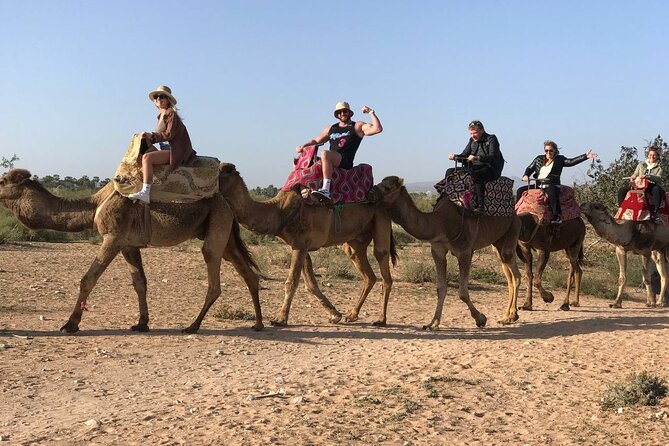 Camel ride in agadir at sunset with barbecue and couscous - Guides, photographs, and the small extras