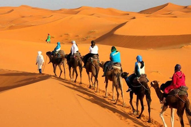 Camel ride in Tanger - Why this camel ride works well in Tangier