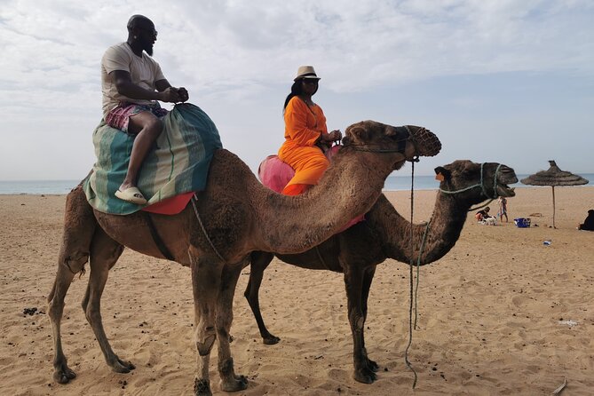 Camel ride in Tanger - Cap Spartel in 30 minutes
