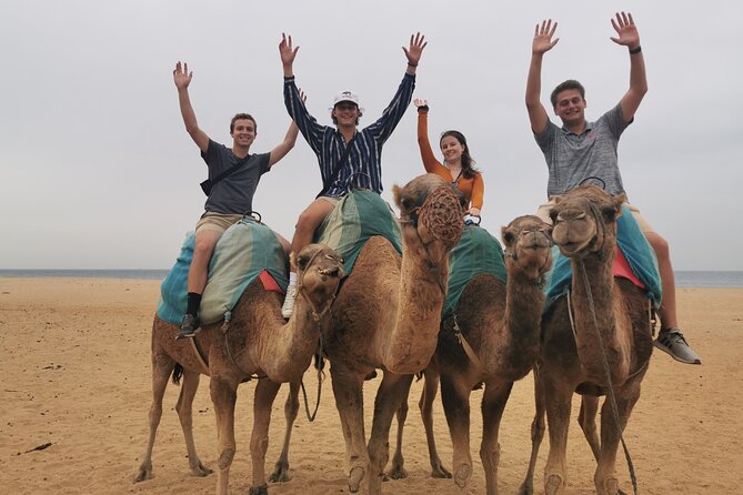 Camel ride in Tanger - Weather, comfort, and what to bring