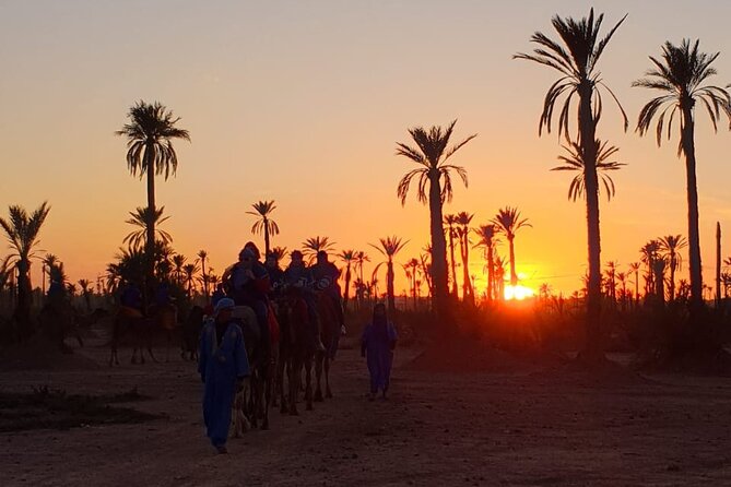 Camel ride Marrakech - What this Marrakech camel ride really offers