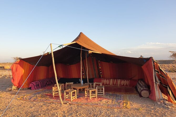 Camel ride Marrakech - One hour through palms and villas