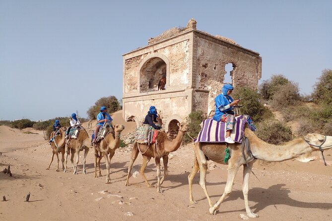 Camel ride or quad bike ride.. pick up, drop off. including - Why sunset is worth considering