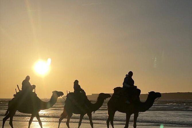 Camel ride or quad bike ride.. pick up, drop off. including - What the guides do especially well