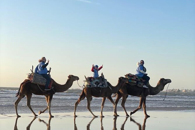 Camel ride or quad bike ride.. pick up, drop off. including - The 15th-century Portuguese fort stop