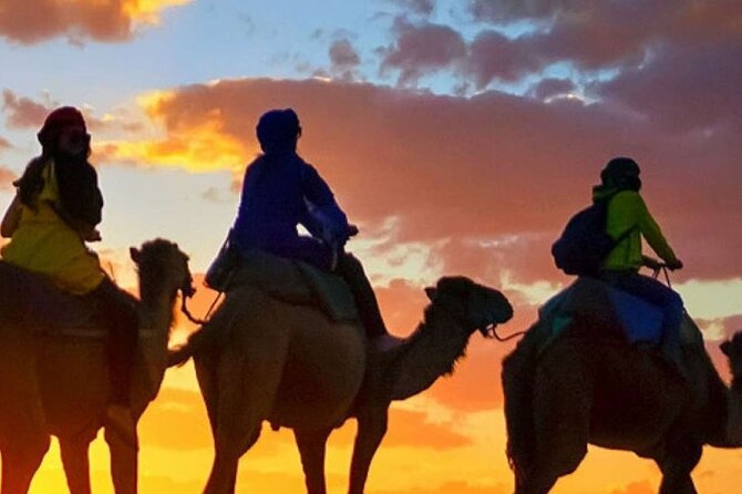 Camel ride + sunset + BBQ dinner in Agadir - Aghroud Bensergao and the Eucalyptus Route