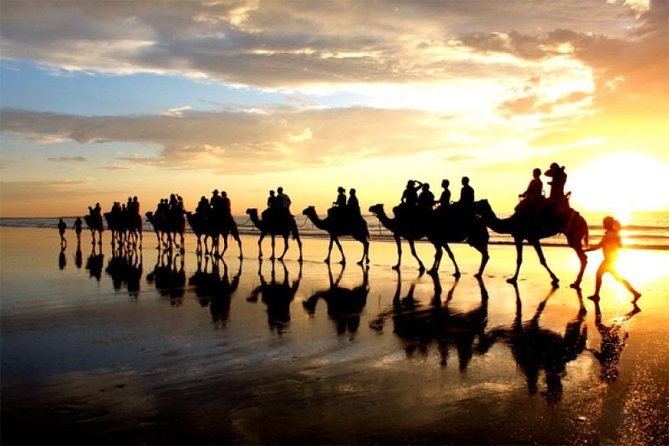 Camel Riding Agadir - Key points to know before booking