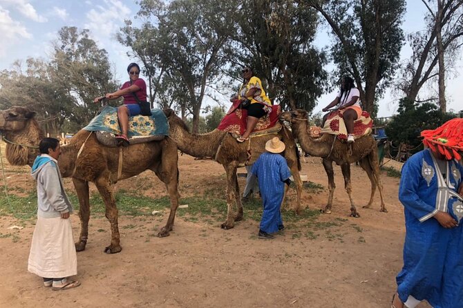 Camel Riding Agadir - Sand dunes, beach, and the final stretch