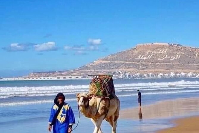 Camel Riding Agadir - What the private format is worth at $29.04