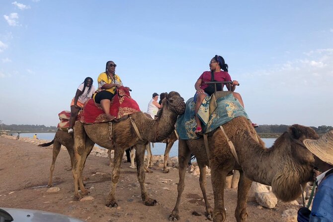 Camel Riding Agadir - Who will enjoy this outing most?