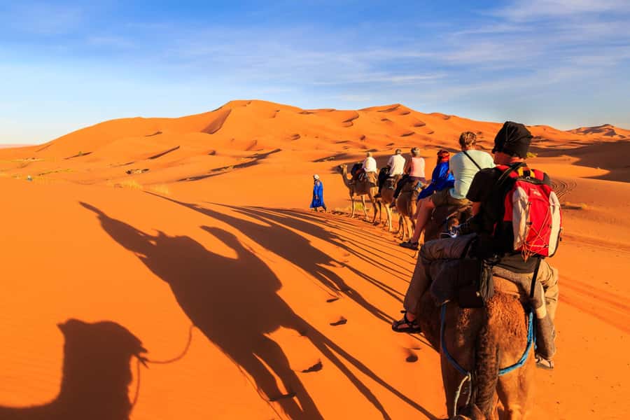 Casablanca: 6-Day Tour To Marrakech Via Chefchaouen & Desert - Day 2: Roman Volubilis, imperial Meknes, and Fes