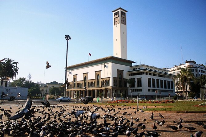 Casablanca Airport Layover Tour with Return to Airport or Hotel Dropoff - Ain Diab and the Atlantic promenade