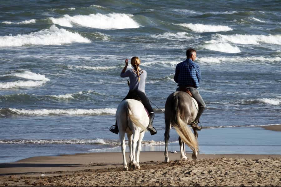Casablanca: Beach Horseback Riding with Hotel Transfers - Key points to know before you book