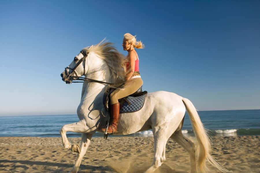 Casablanca: Beach Horseback Riding with Hotel Transfers - FAQ