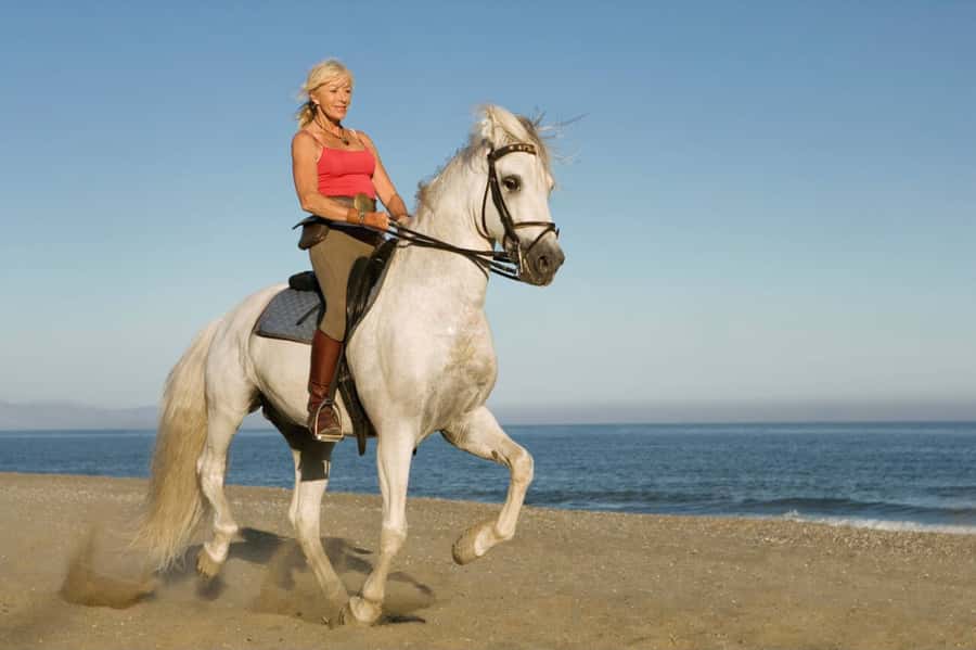 Casablanca: Beach Horseback Riding with Hotel Transfers - The forest option and the shape of the ride