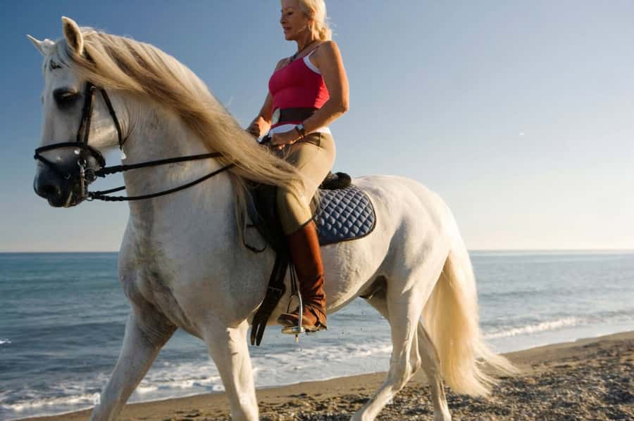 Casablanca: Beach Horseback Riding with Hotel Transfers - What the $46 price really covers