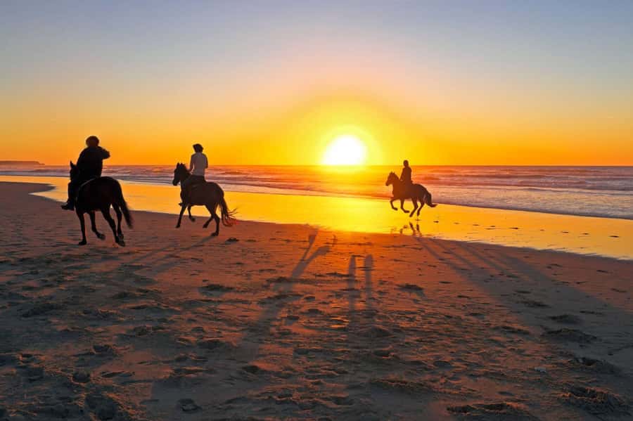 Casablanca: Beach Horseback Riding with Hotel Transfers - Safety, comfort, and taking better photos