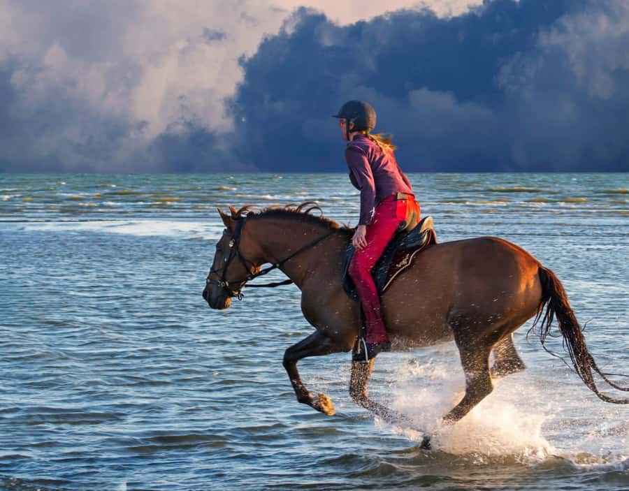Casablanca: Beach Horseback Riding with Hotel Transfers - Should you book the beach horseback ride?